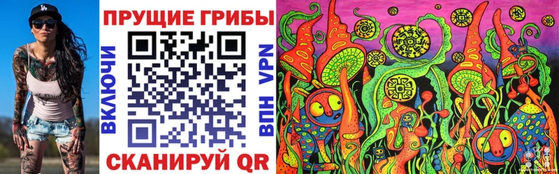 где купить наркоту  Сегежа  darknet наркотические препараты  Галлюциногенные грибы MAGIC MUSHROOMS 