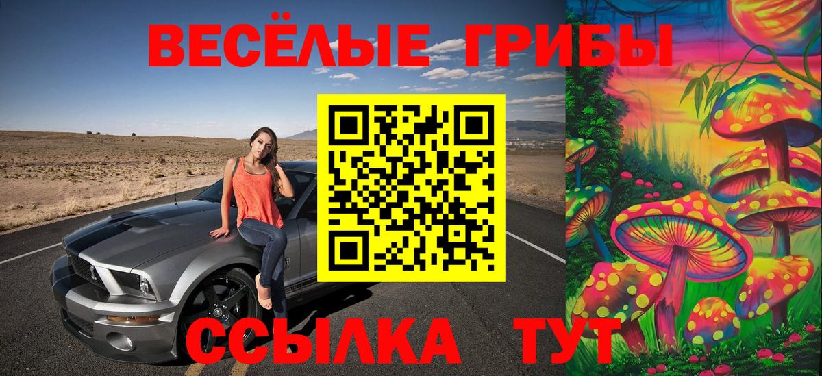 Сегежа  Псилоцибиновые грибы GOLDEN TEACHER  Вход с VPN 